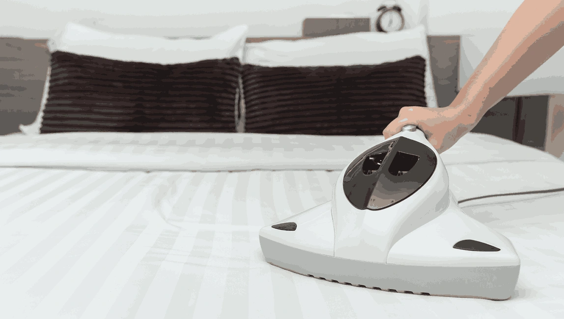 Professional Mattress Cleaning Newcomb
